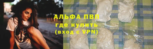 шишки Баксан