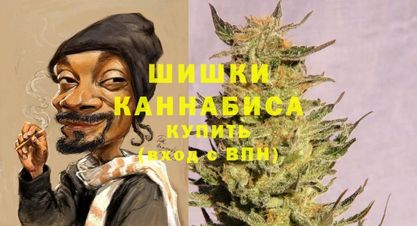 шишки Баксан