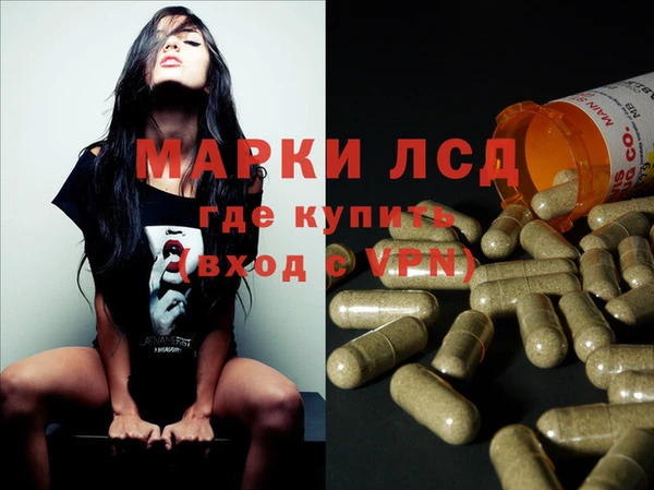 шишки Баксан