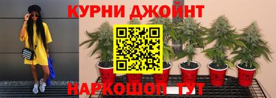 герыч Гатчина
