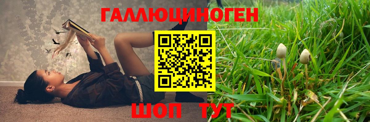 наркотики  Галлюциногенные грибы мицелий  Вход с VPN  Белово 